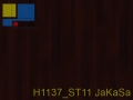 H1137_ST11 JaKaSa
