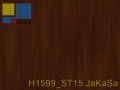 H1599_ST15 JaKaSa