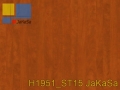 H1951_ST15 JaKaSa