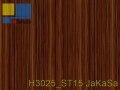 H3025_ST15 JaKaSa