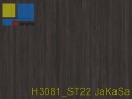 H3081_ST22 JaKaSa